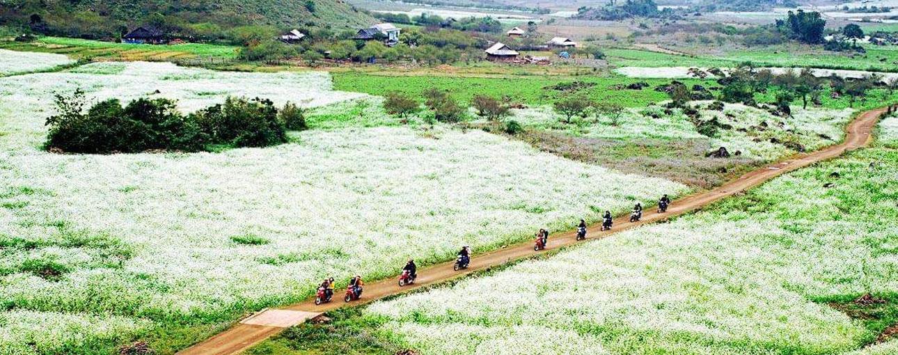 Bản Thung Cuông (Thông Cuông)