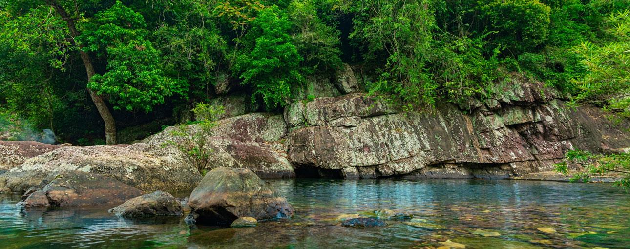 Rừng nguyên sinh Khe Gỗ Bắc Giang