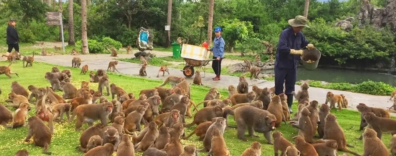 Đảo Khỉ Nha Trang