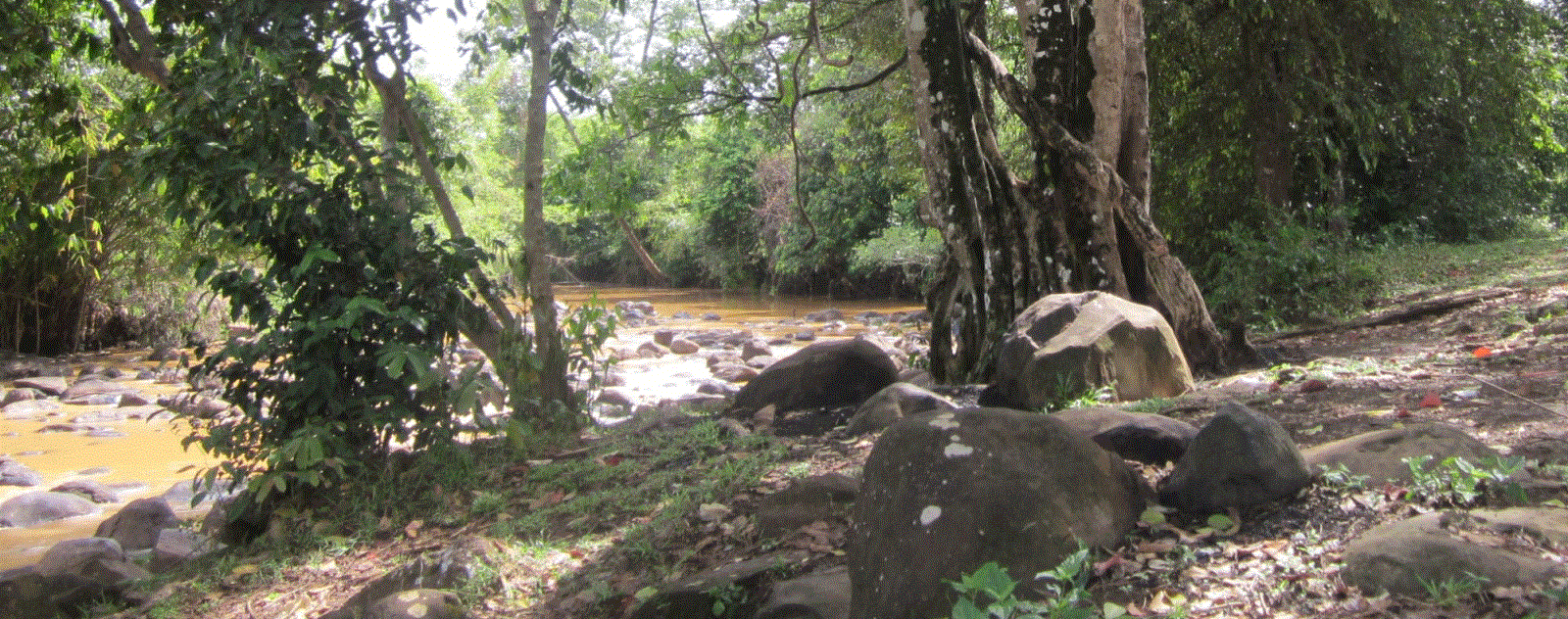 Thác Đứng