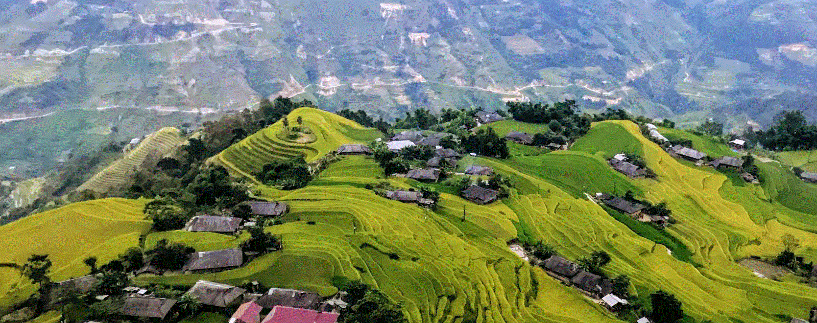 Bản Phùng