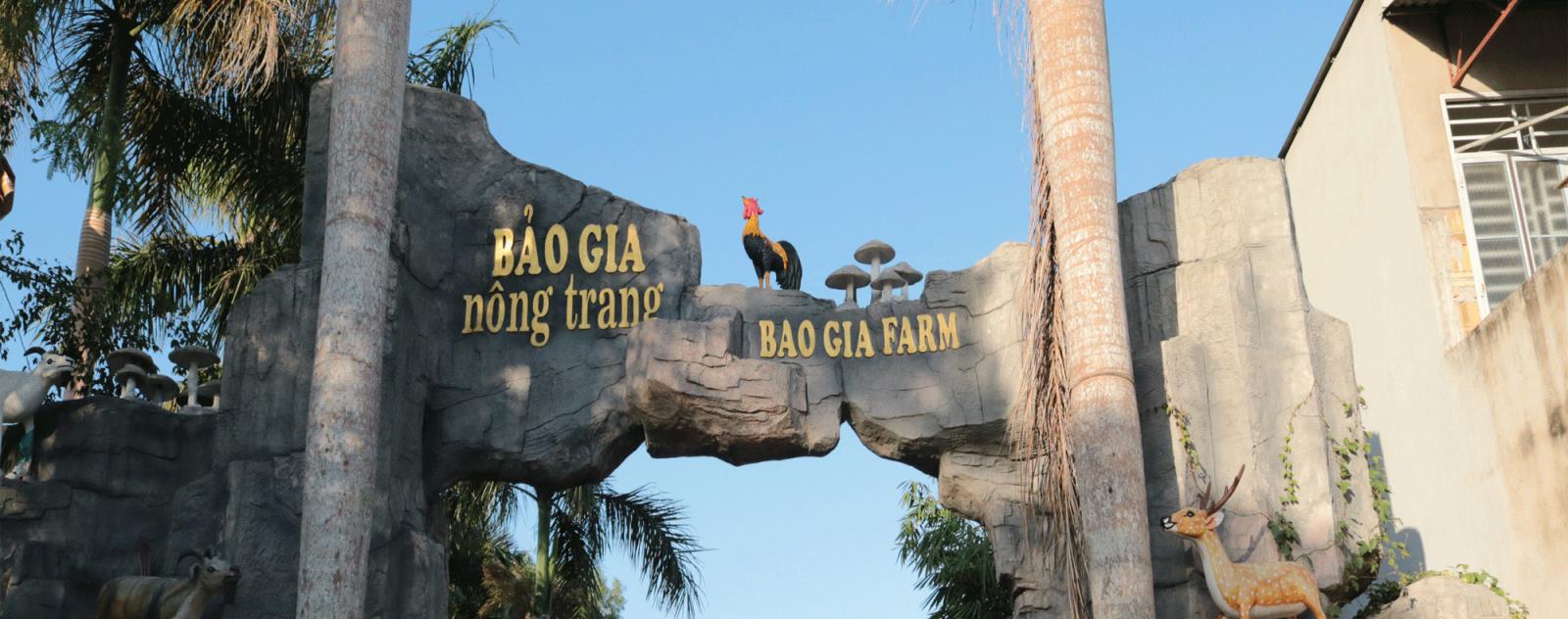 Bảo Gia Farm Camping