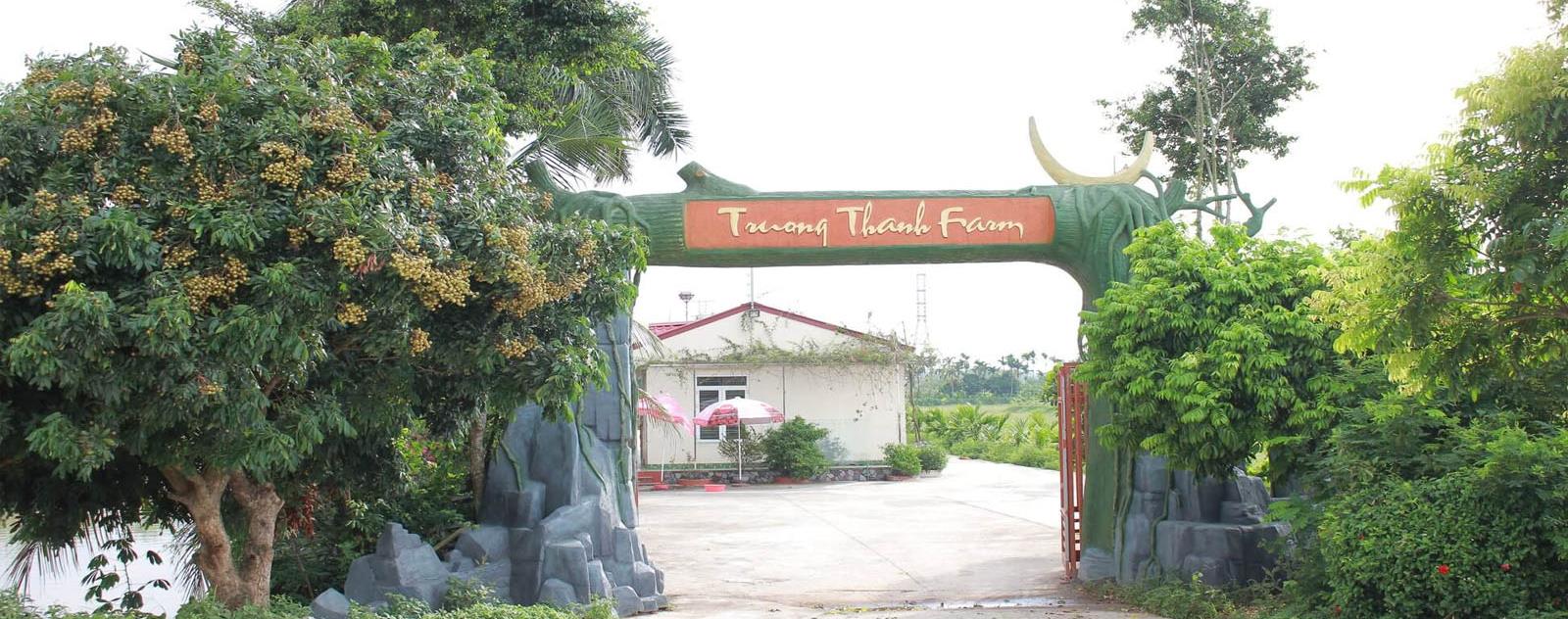 Trường Thành Farm