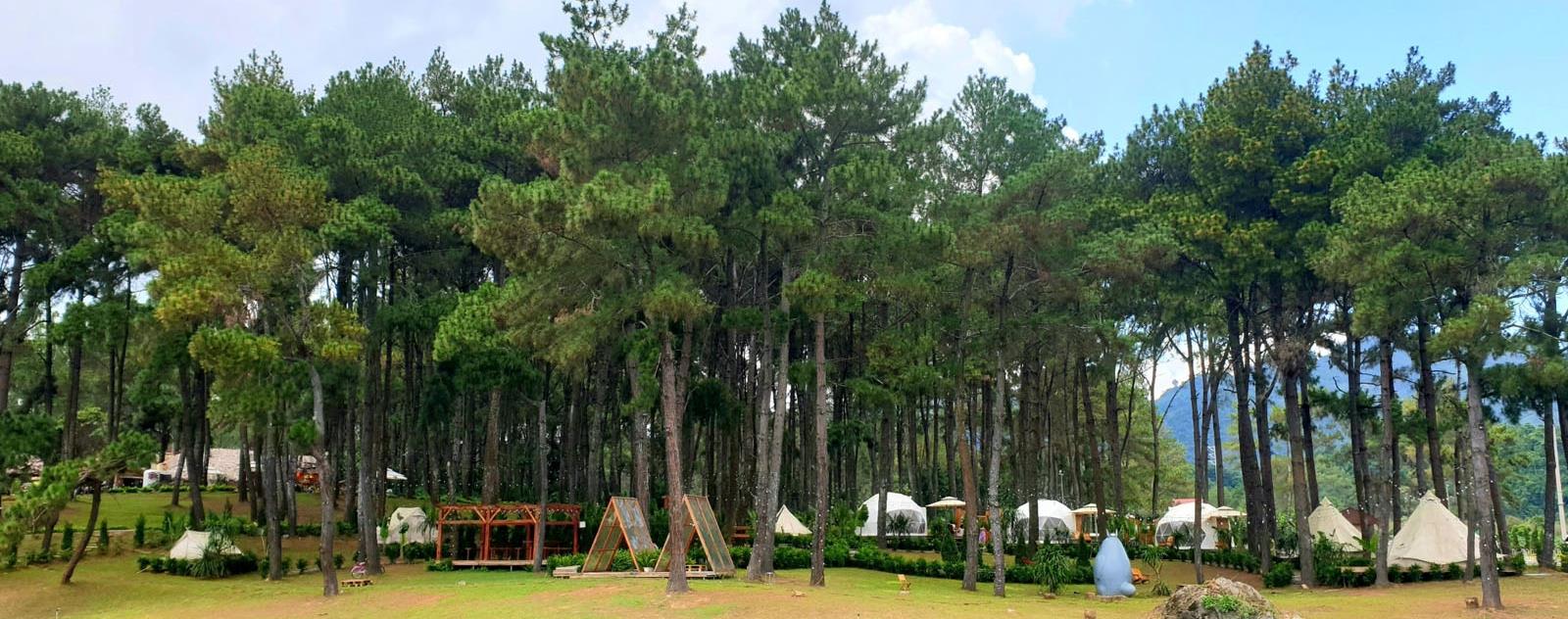 Phoenix Camp Ground Mộc Châu