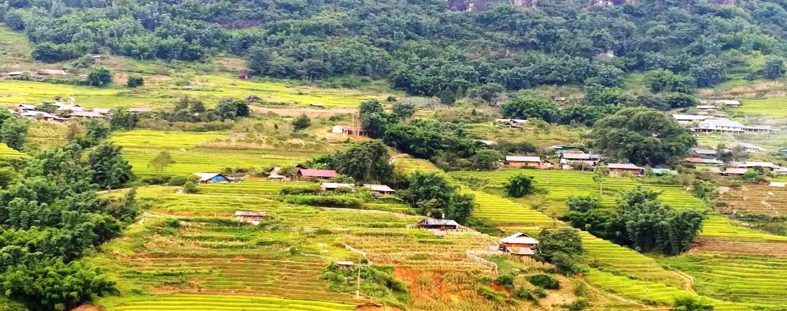 Trung Chải Sapa