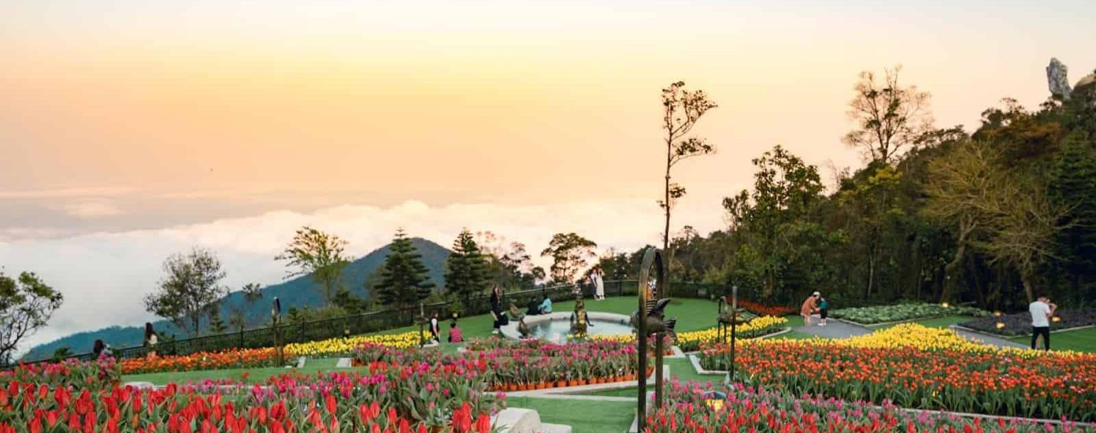 Vườn hoa Le Jardin D'Amour Đà Nẵng