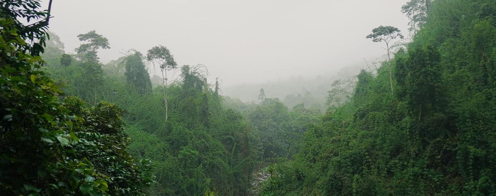 Khu dự trữ sinh quyển Kon Hà Nừng Gia Lai