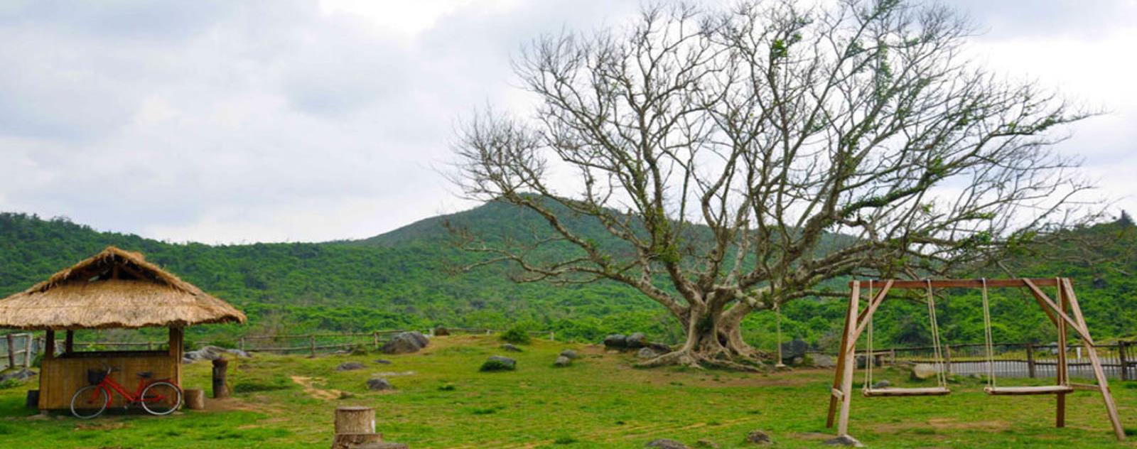 B&U Farm Phú Yên