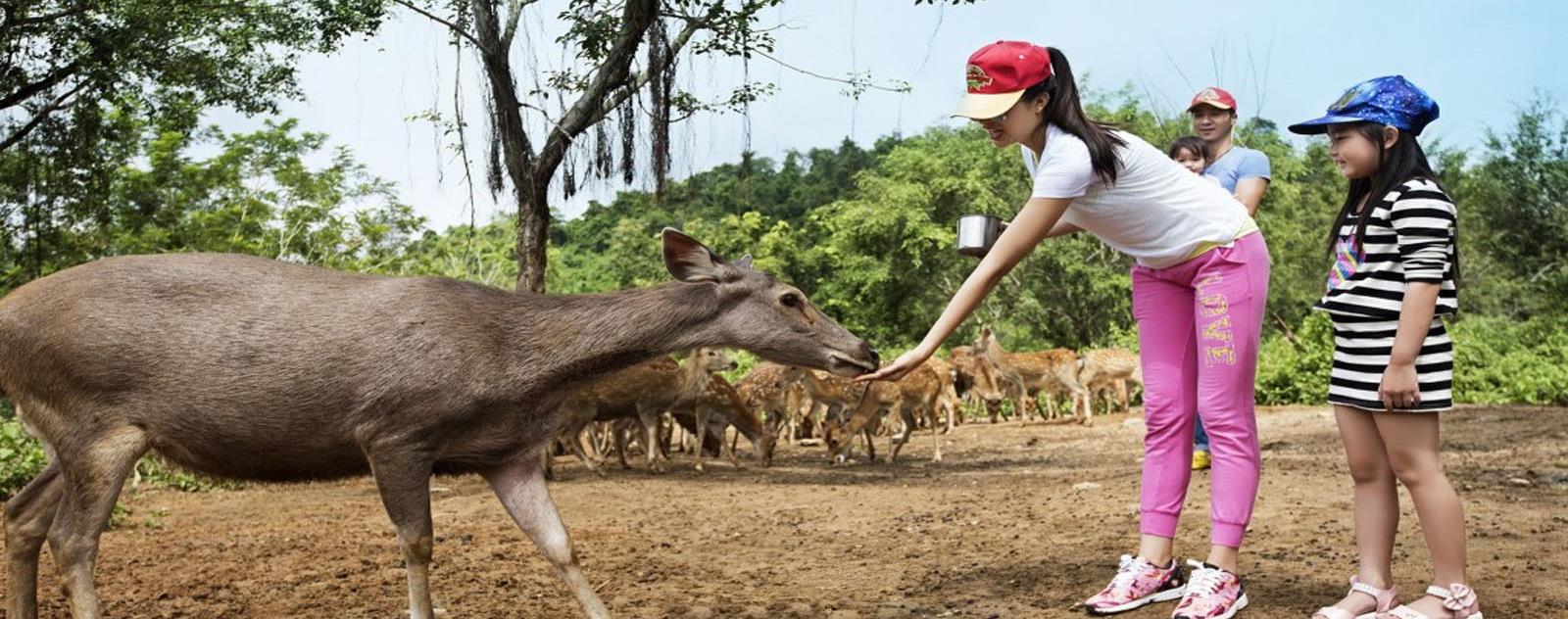 Khu du lịch Madagui Lâm Đồng