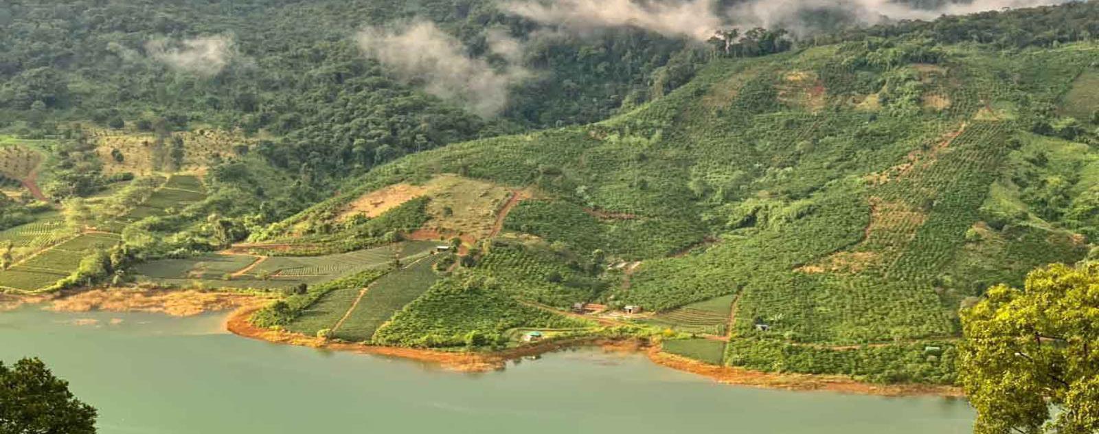 Cao nguyên Di Linh Lâm Đồng