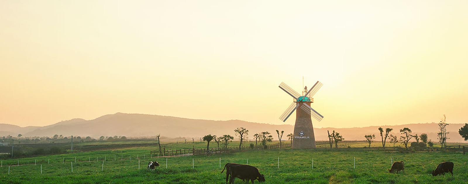 Vinamilk Organic Farm Đà Lạt