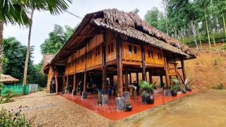 Vũ Linh Palm House Yên Bái Homestay