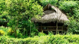 Thái House Tai Dam Pù Luông