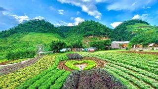 Mộc Châu Happy Land