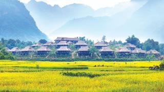 Mai Châu Ecolodge Hòa Bình Resort