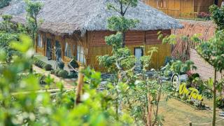Om Tara Retreat Resort Yên Bái