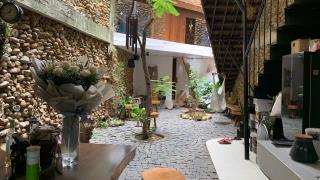 Dreamland - Chihouse Homestay Hải Phòng