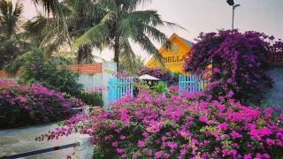 Resort Bella Nghi Sơn