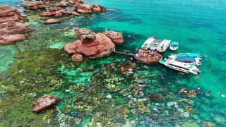 Tour 2 đảo Phú Quốc ngắm san hô, ngắm hoàng hôn và thưởng thức BBQ